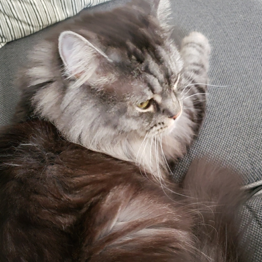 Meet your Posher, Sue